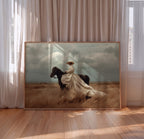 The Rider - Black Equestrian Art Print